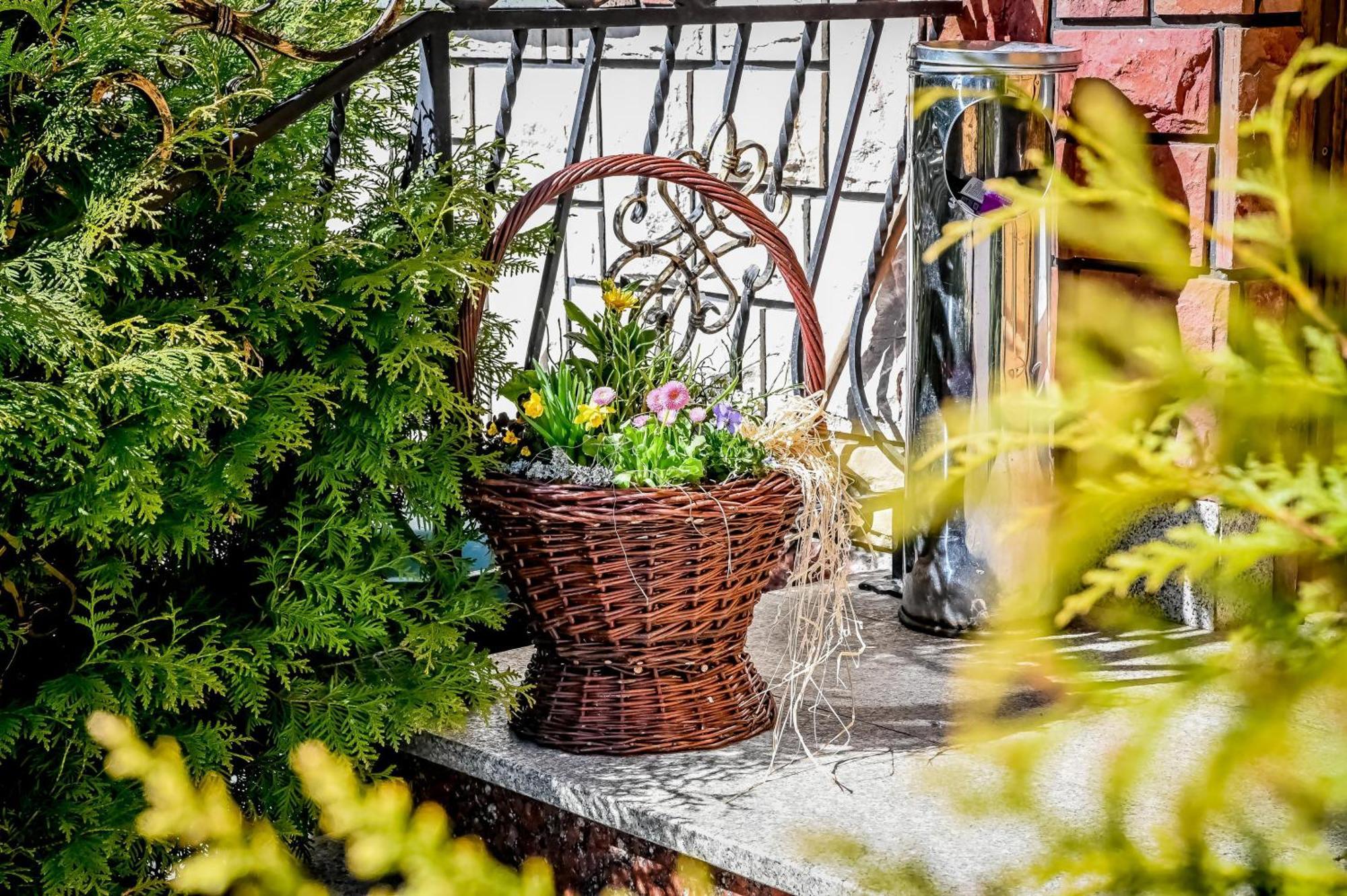 Domek U Horarow Ciche  エクステリア 写真